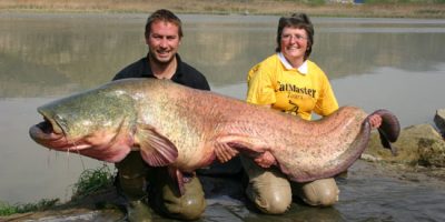 Spain Catfish 209lbweb.jpg